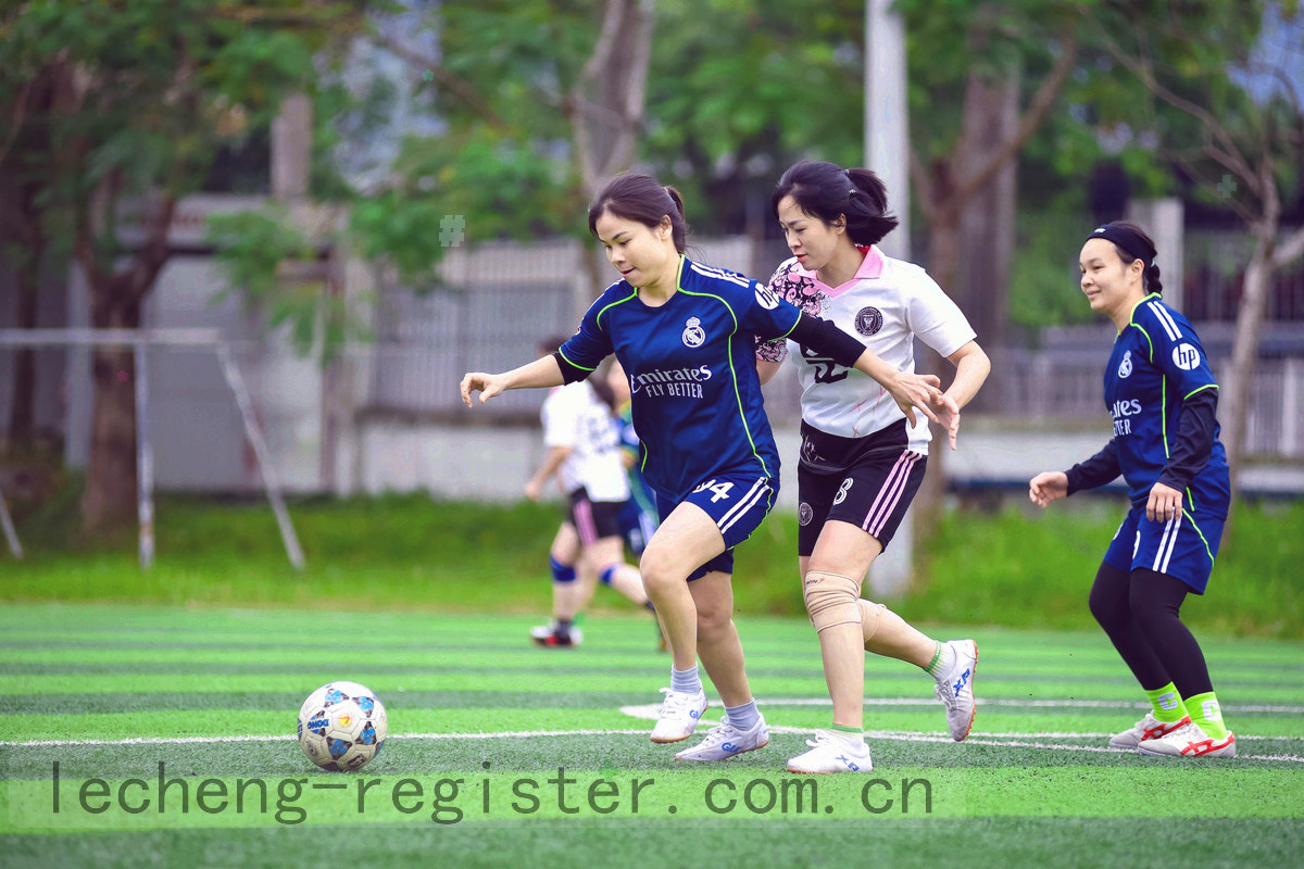 栏目卡片由七个合并为五个的界面动效帧，旧卡片淡出、新卡片重排